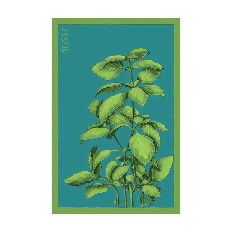 Basil Seed Packet
