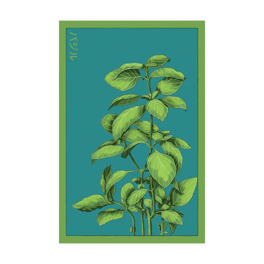 Basil Seed Packet