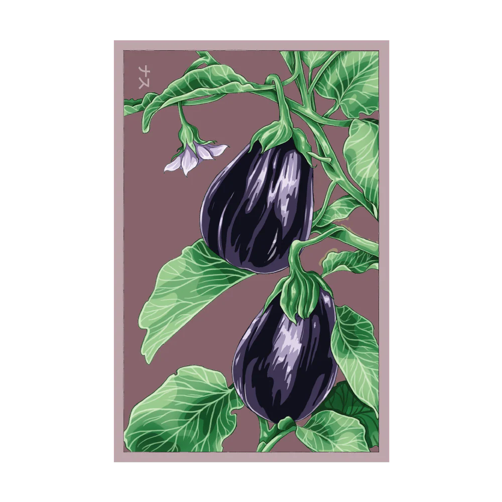 Shido Eggplant 'Black Beauty' Seed Packet