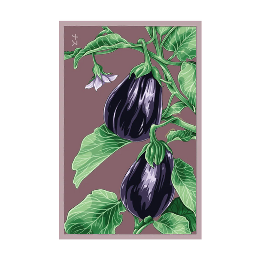 Shido Eggplant 'Black Beauty' Seed Packet