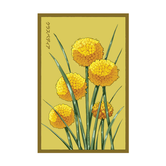 Billy Buttons Seed Packet