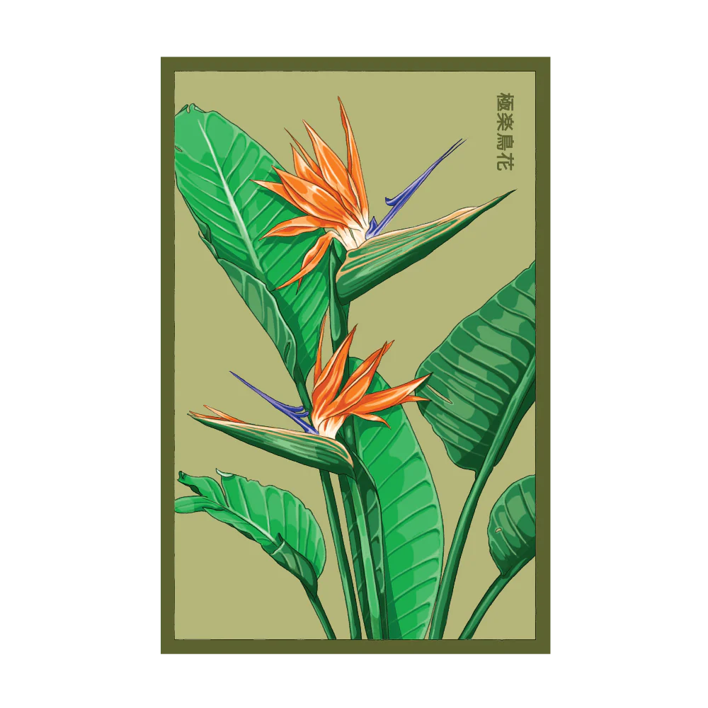 Bird of Paradise Seed Packet