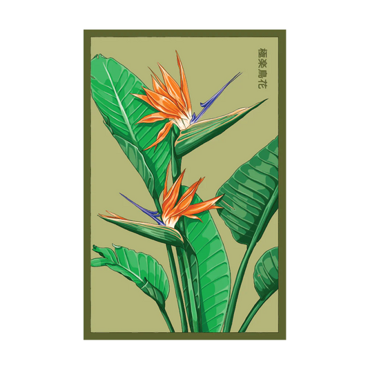 Bird of Paradise Seed Packet