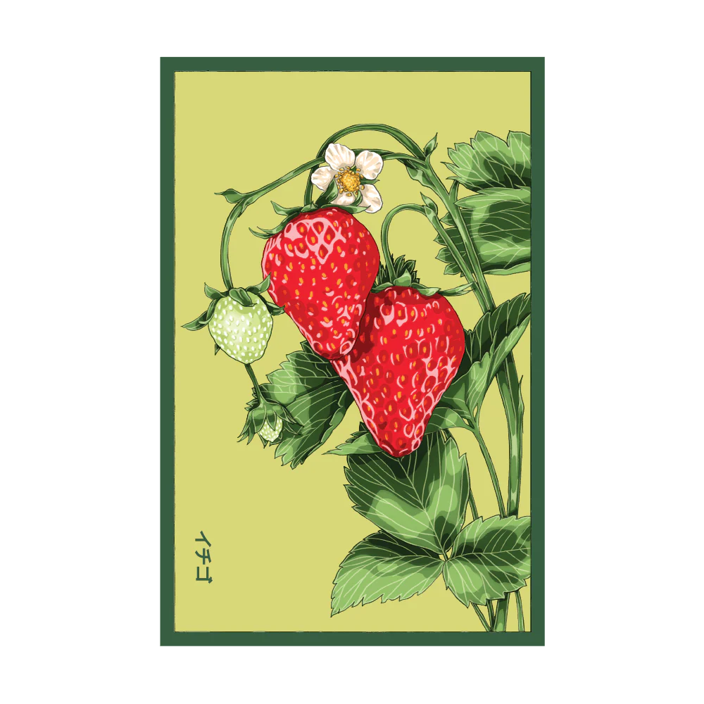 Strawberry 'Basket Kisses' Seed Packet