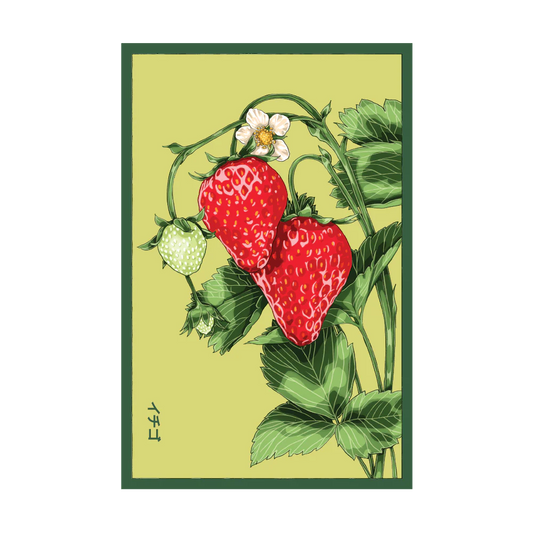 Strawberry 'Basket Kisses' Seed Packet