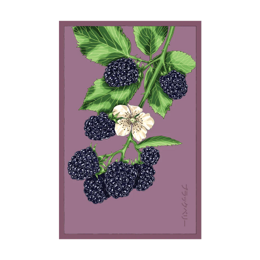 Blackberry Flower Seed Packet