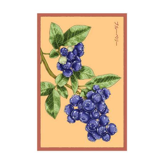 Blueberry Flower Seed Packet