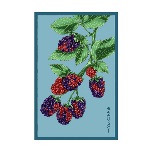 Boysenberry Flower Seed Packet