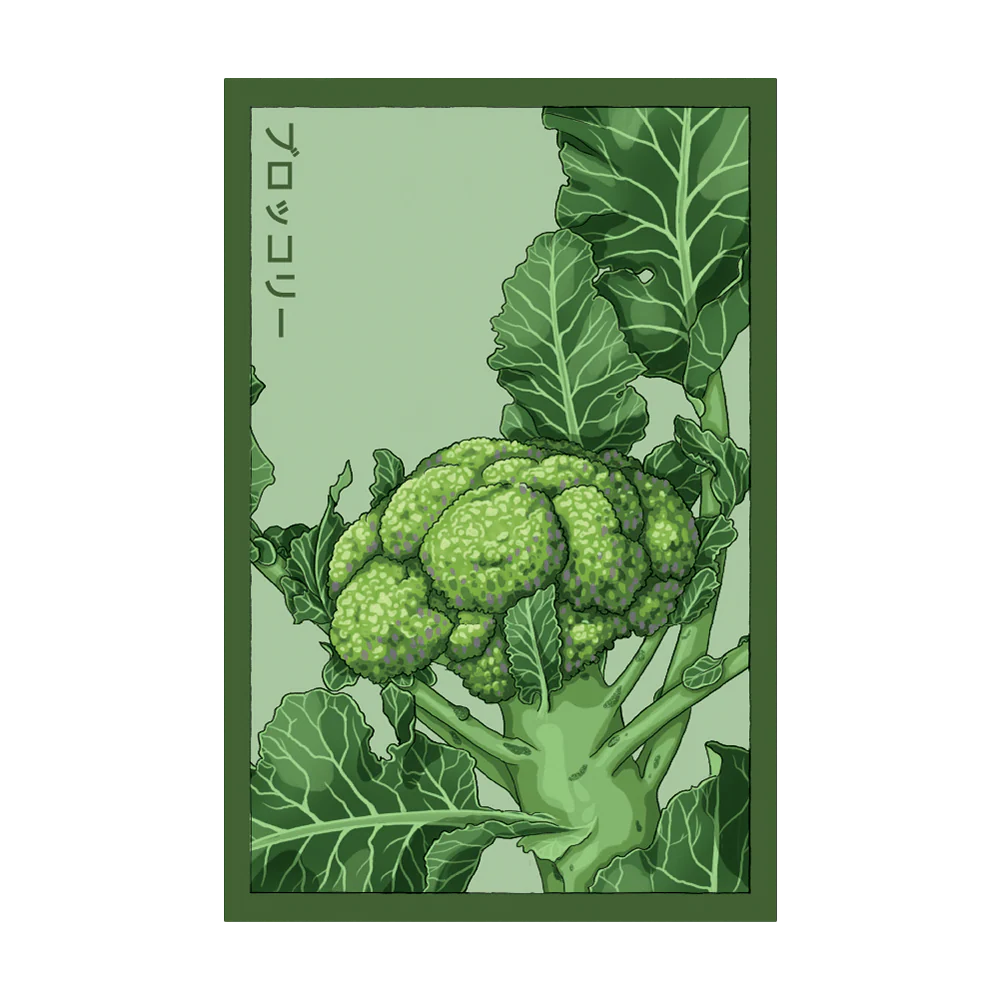 Shido Broccoli Seed Packet