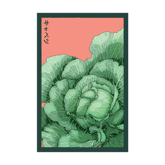 Shido Cabbage Seed Packet