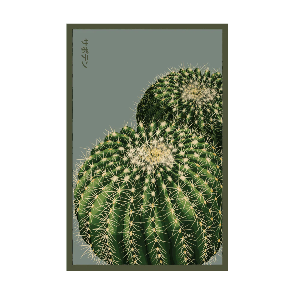 Shido Cactus Seed Packet