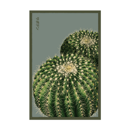 Shido Cactus Seed Packet