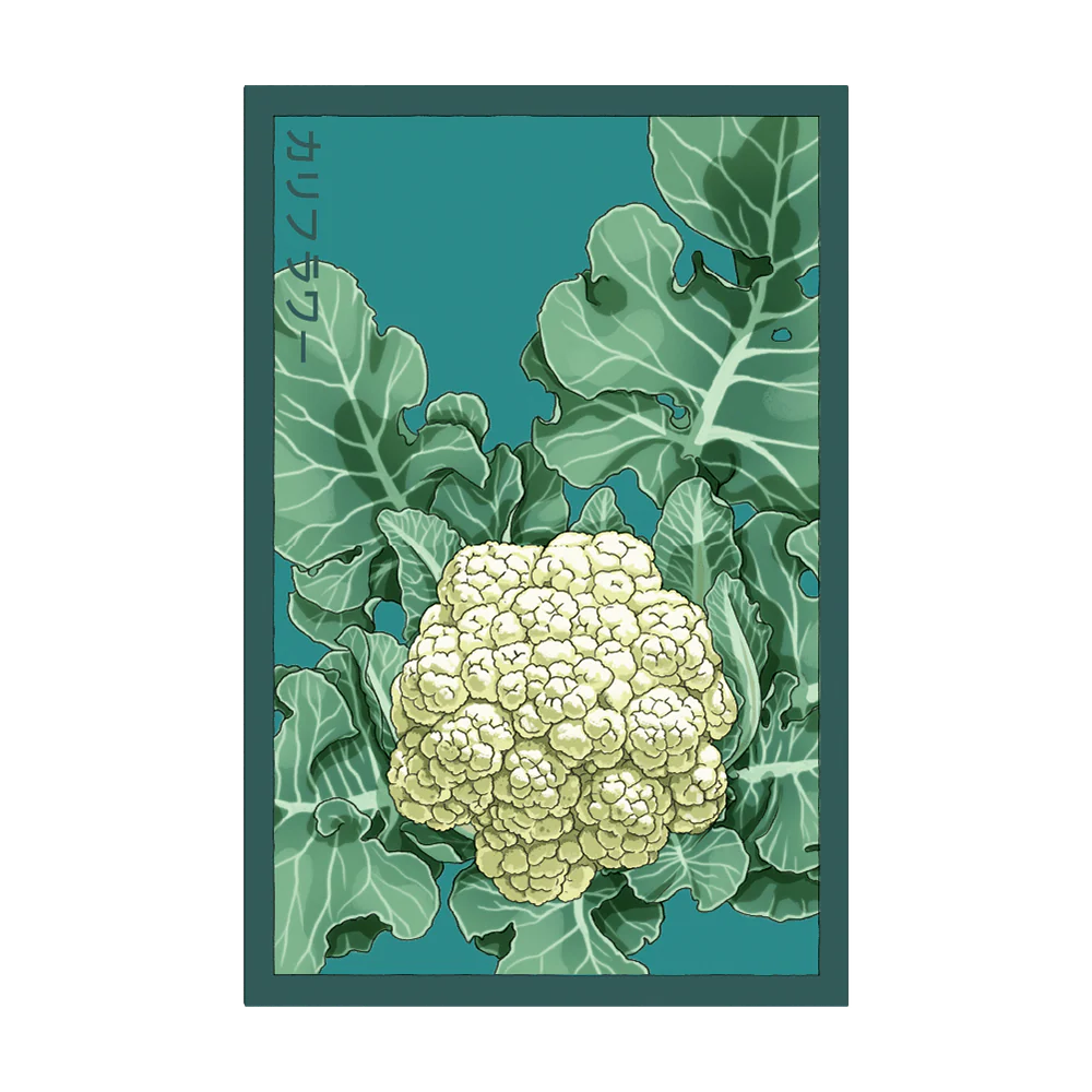 Shido Cauliflower Seed Packet