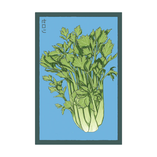 Shido Celery Seed Packet