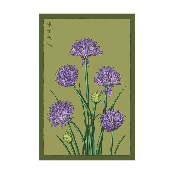 Shido Chives Seed Packet