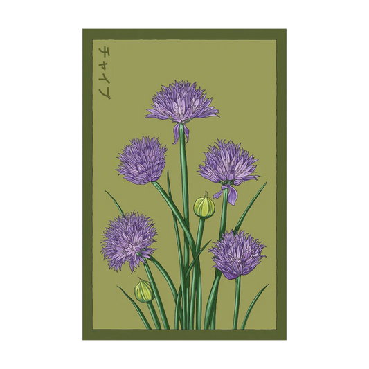 Shido Chives Seed Packet