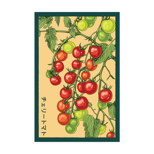 Shido Cherry Tomato Seed Packet