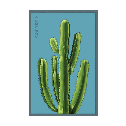 Small Mixed Cacti Seed Packet