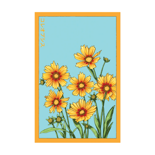 Shido Coreopsis 'Big Flower' Seed Packet