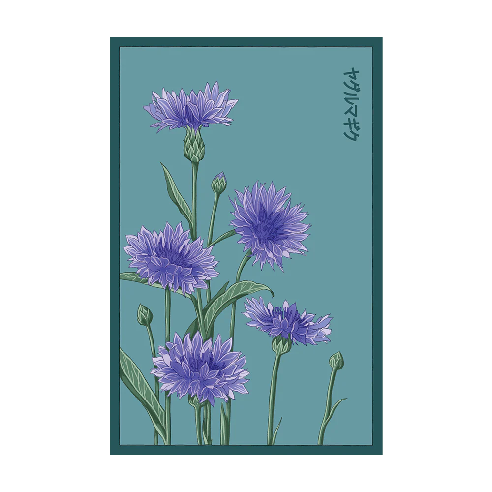 Shido Blue Cornflower Seed Packet