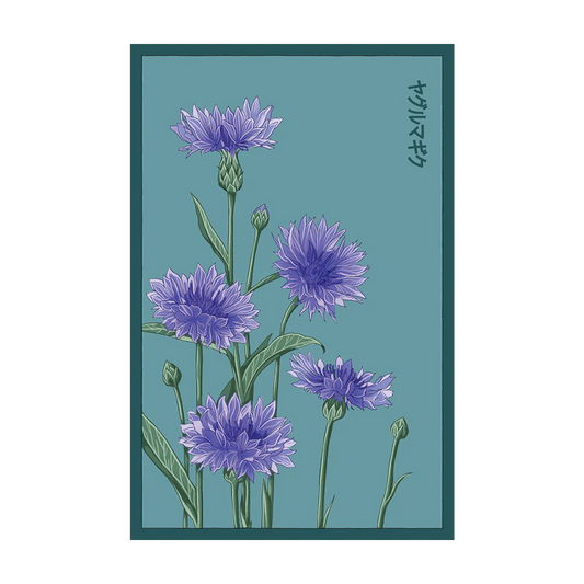 Shido Blue Cornflower Seed Packet