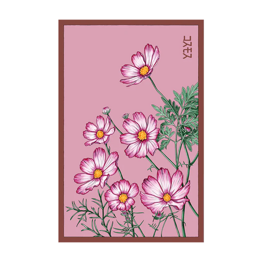 Shido Cosmos Seed Packet