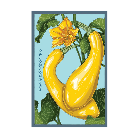 Shido Crookneck Squash Seed Packet