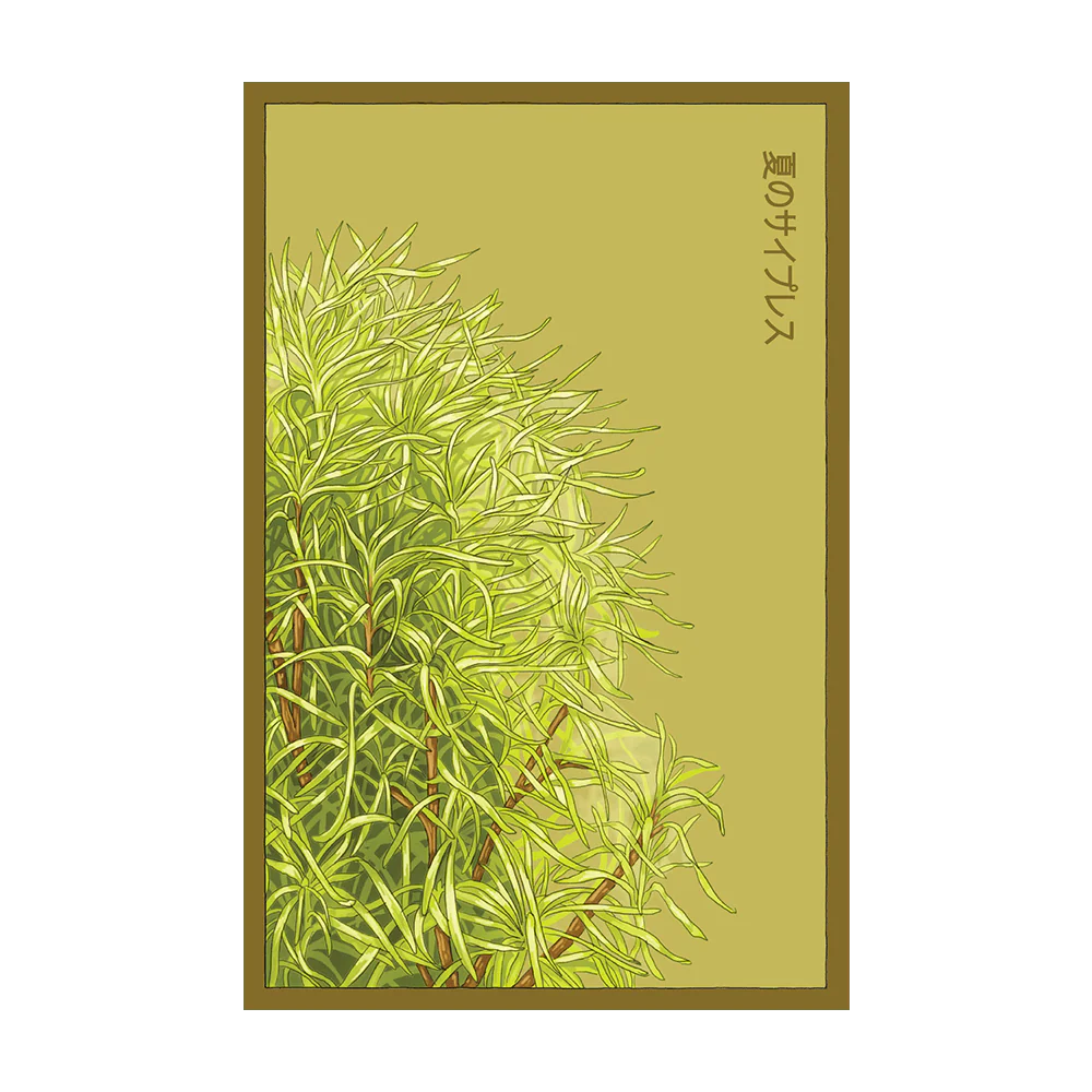 Shido Summer Cypress Seed Packet