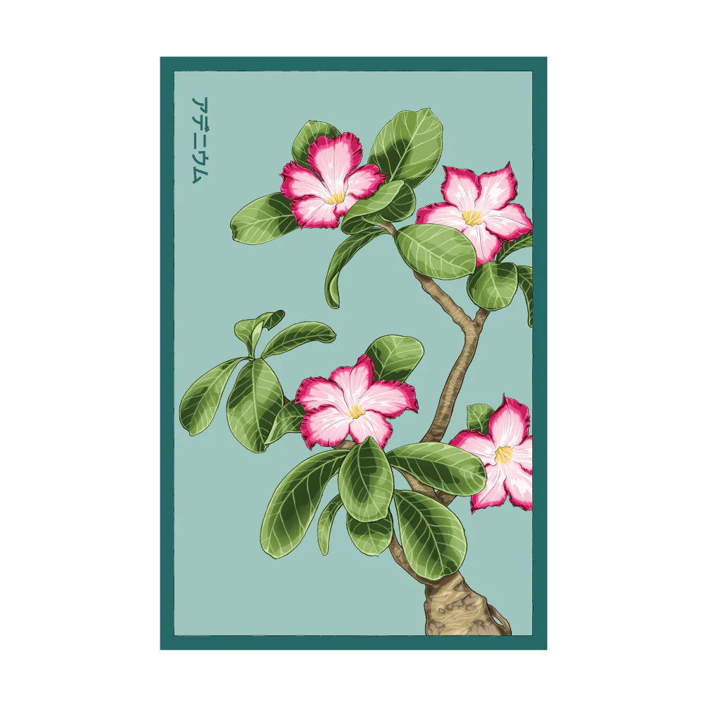 Shido Desert Rose Seed Packet