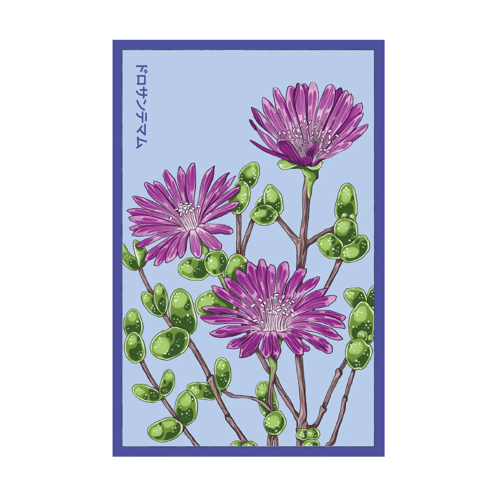 Shido Dewflower Seed Packet