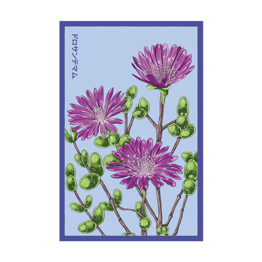 Shido Dewflower Seed Packet