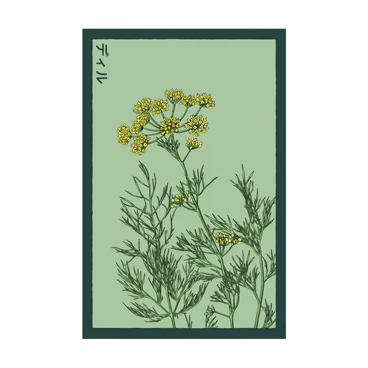 Shido Dill Seed Packet