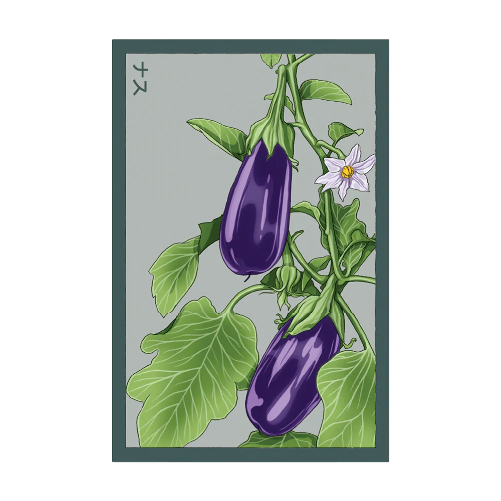 Shido Eggplant Seed Packet