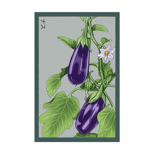 Shido Eggplant Seed Packet