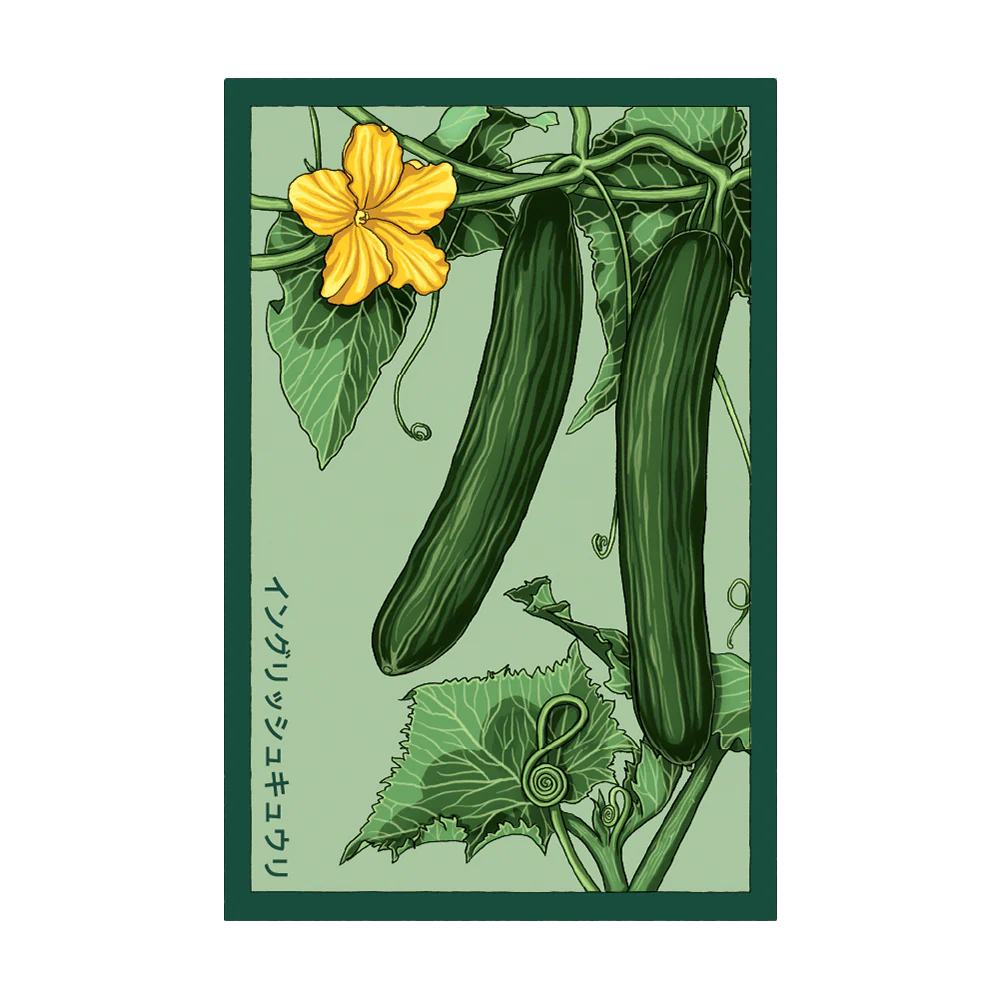 Shido English Cucumber Seed Packet