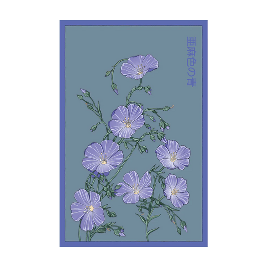 Shido Flax Seed Packet