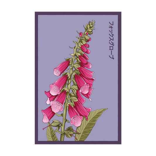 Shido Foxglove Seed Packet