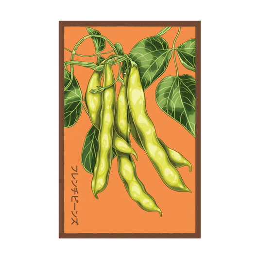 Shido French Beans Seed Packet