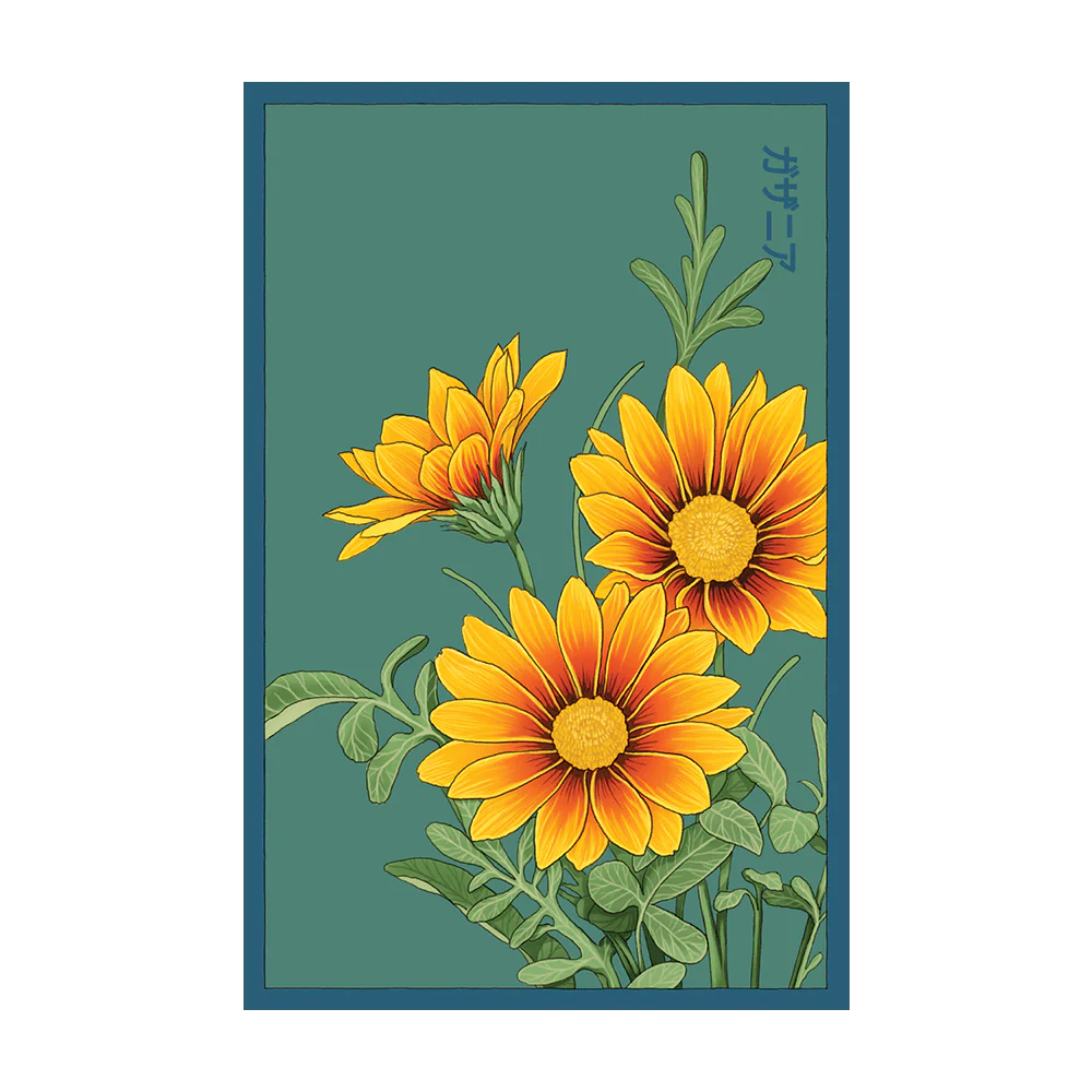 Shido Gazania Seed Packet