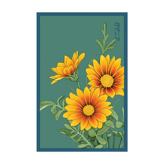 Shido Gazania Seed Packet