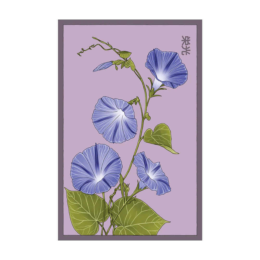Shido Morning Glory Seed Packet
