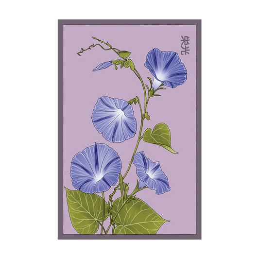 Shido Morning Glory Seed Packet