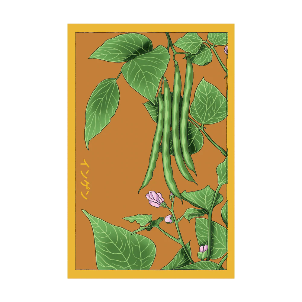 Shido Green Beans Seed Packet