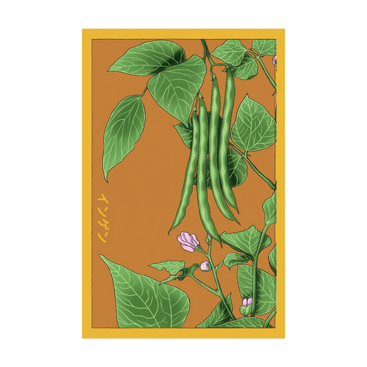 Shido Green Beans Seed Packet