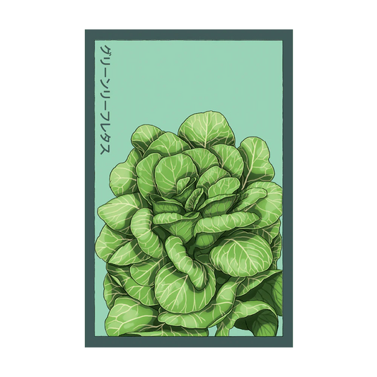 Shido Green Leaf Lettuce Seed Packet