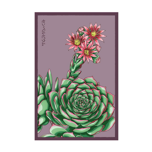 Shido Hens and Chicks Seed Packet