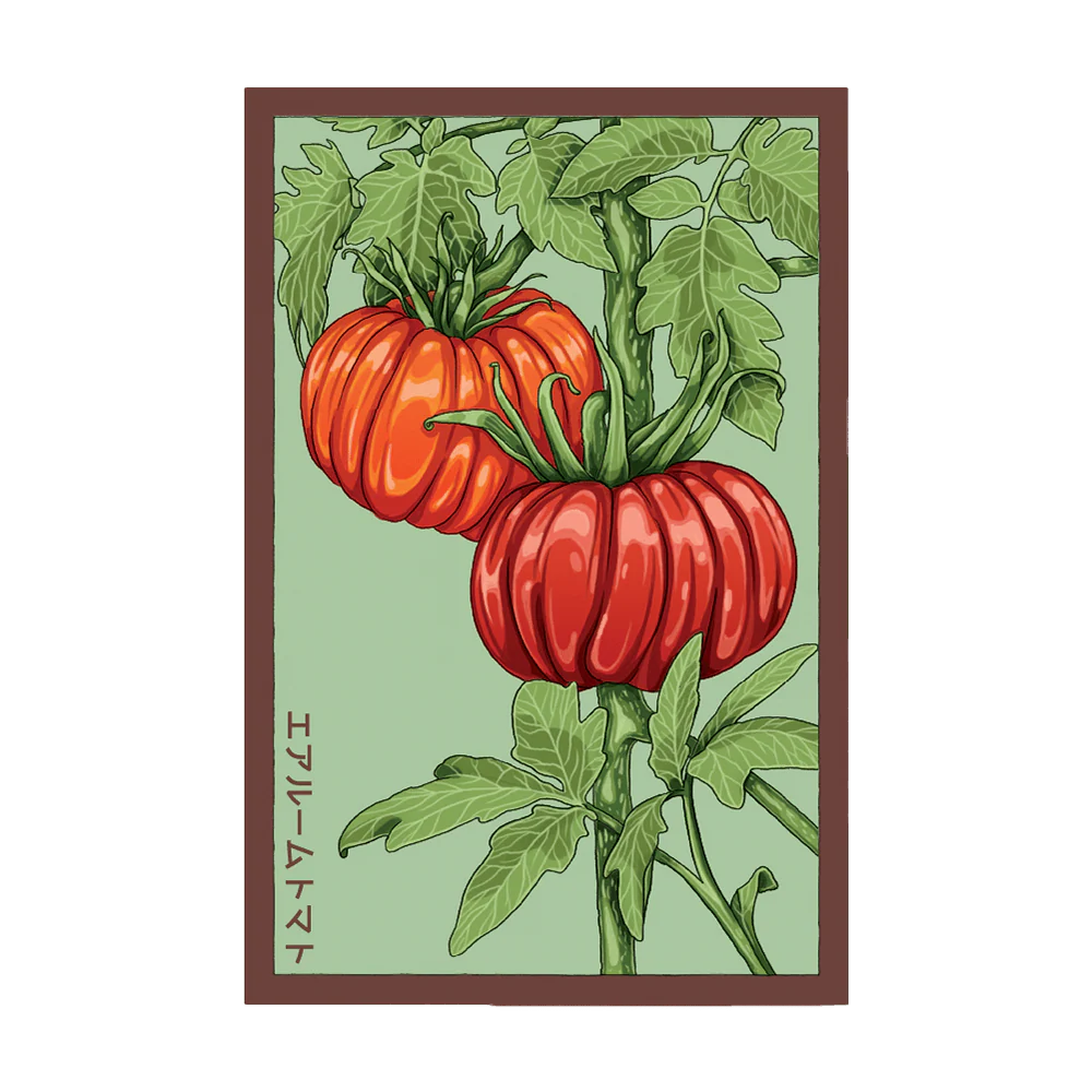 Shido Heirloom Tomato Seed Packet