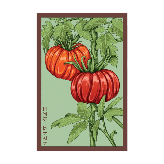 Shido Heirloom Tomato Seed Packet