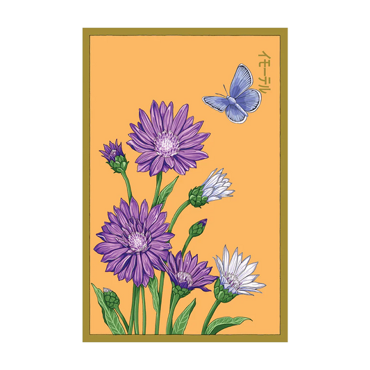 Shido Immortelle Seed Packet