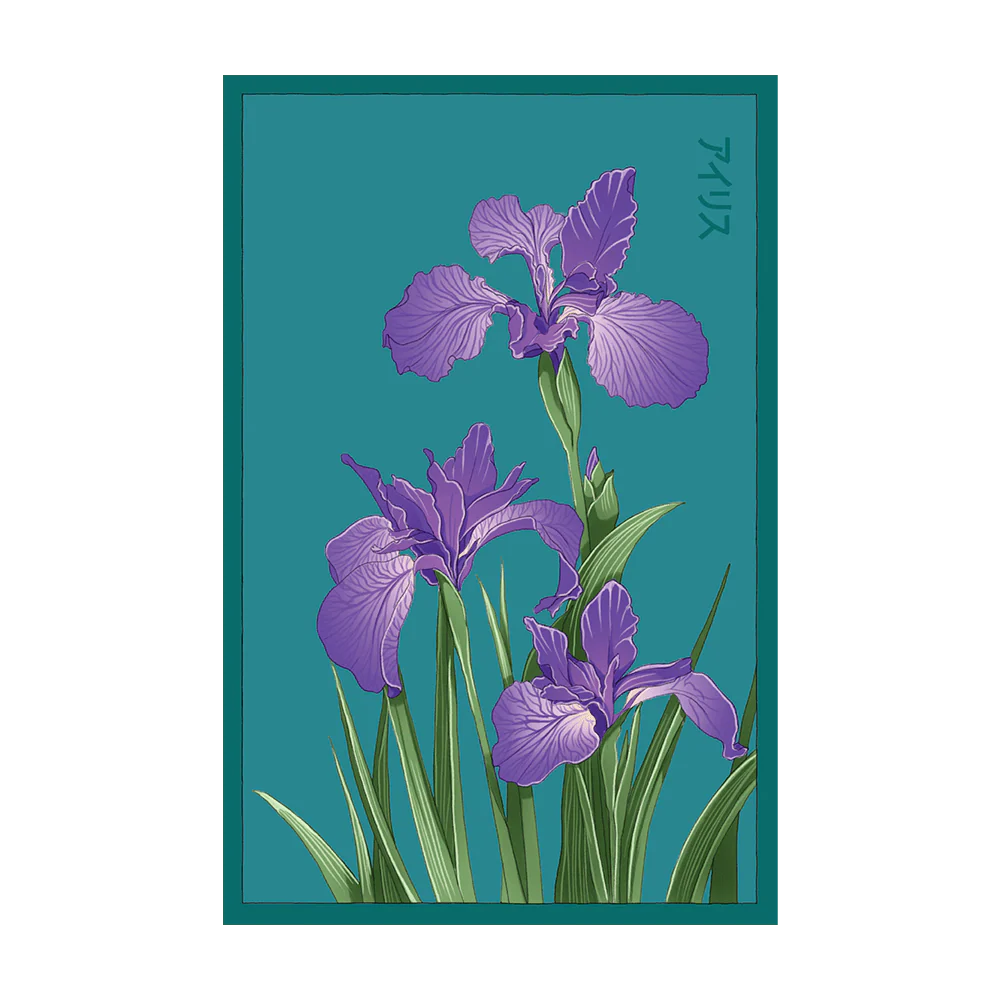 Shido Iris Seed Packet